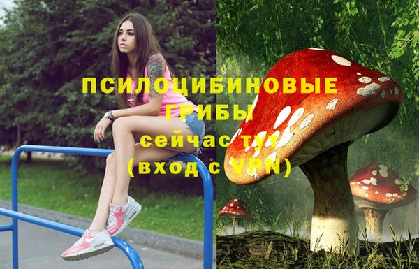 не бодяженный Алзамай
