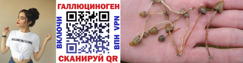 Галлюциногенные грибы мухоморы  Купить где  Курган 